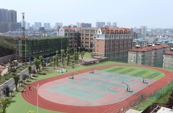 湖南衡阳市港湘实验小学室内游泳池水处理工程